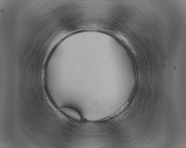 X0000087361424200705181140