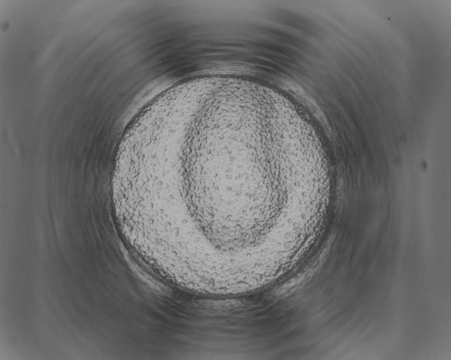 X0000087361425200705181140