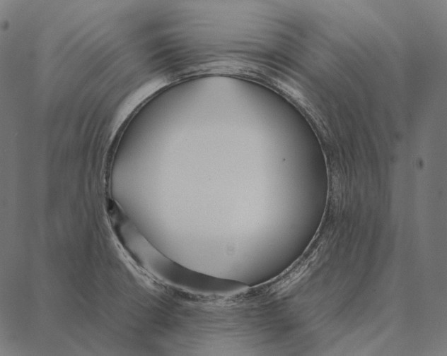 X0000087361426200705181140