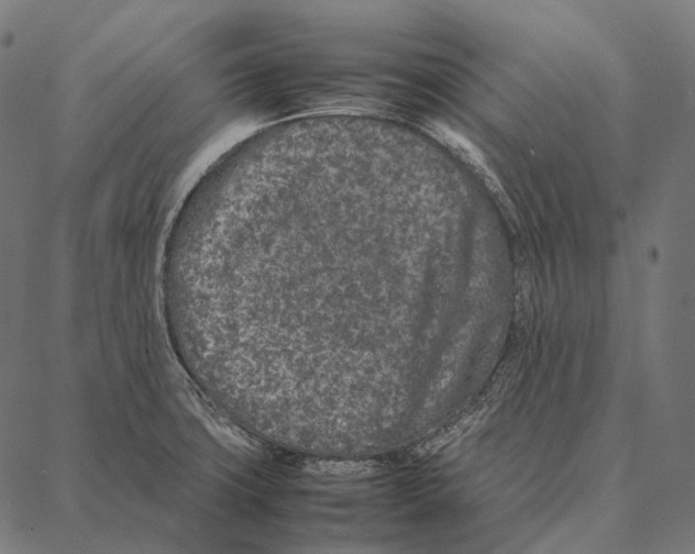 X0000087361427200705181140