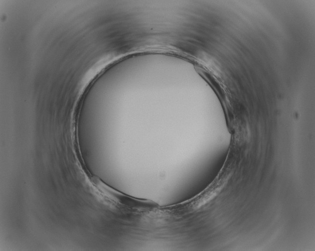 X0000087361430200705181140