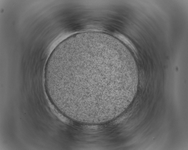 X0000087361431200705181140