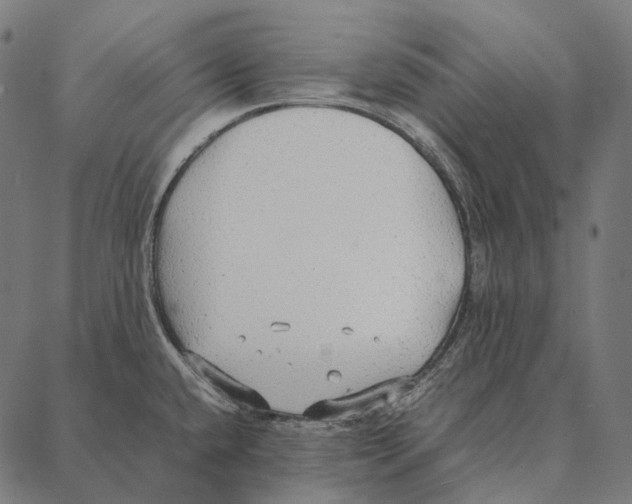 X0000087361432200705181140