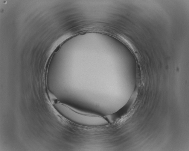 X0000087361434200705181140