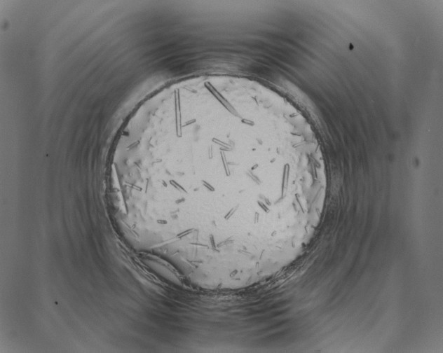 X0000087361435200705181140