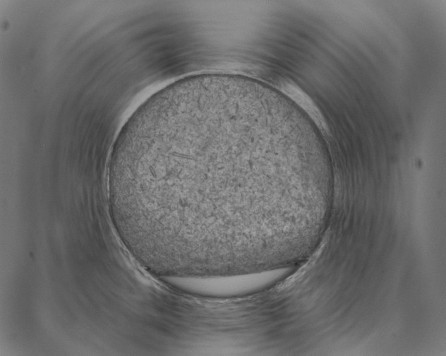 X0000087361436200705181140