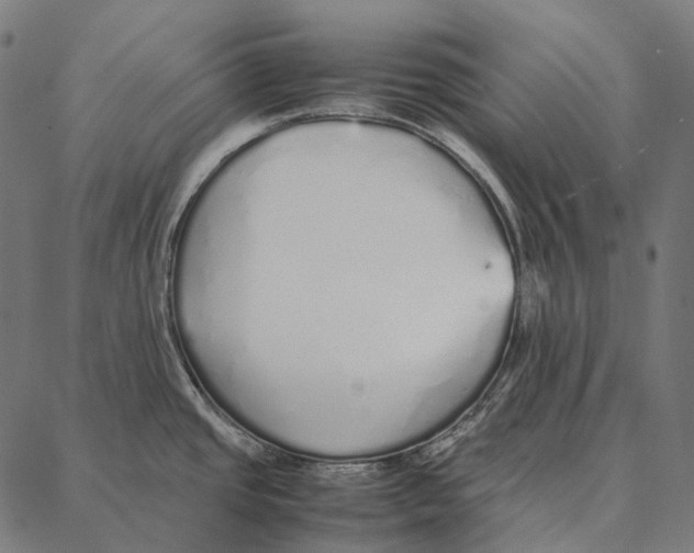 X0000087361437200705181140