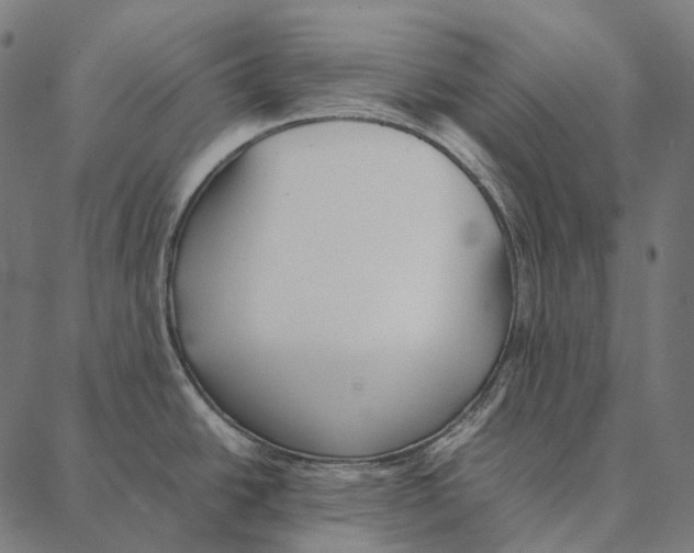 X0000087361438200705181140