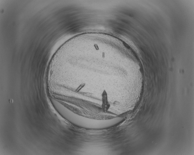 X0000087361440200705181140