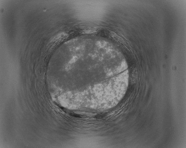 X0000087361441200705181140