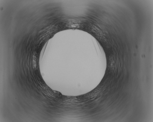 X0000087361442200705181140