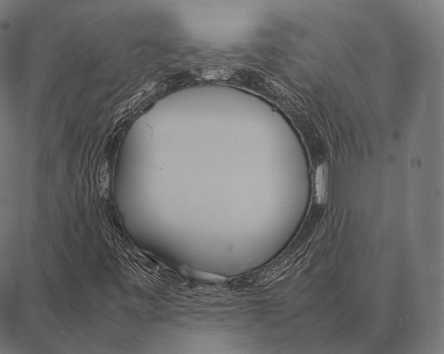 X0000087361443200705181140