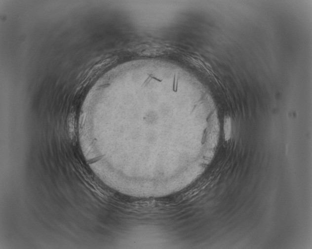 X0000087361444200705181140