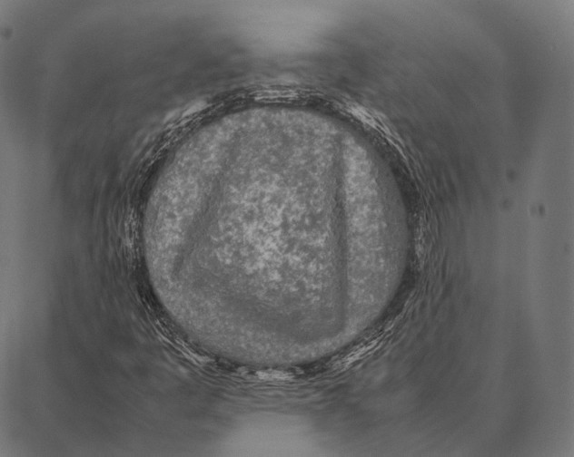 X0000087361445200705181140