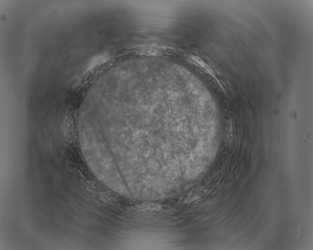 X0000087361446200705181139