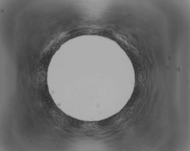 X0000087361447200705181139