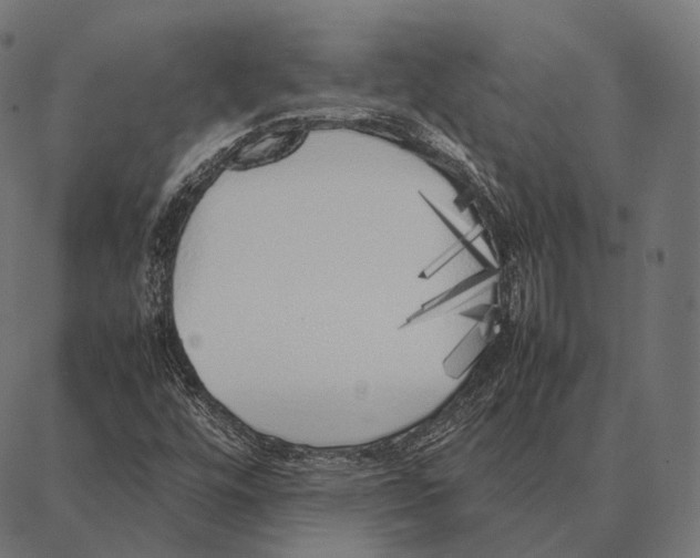 X0000087361448200705181139