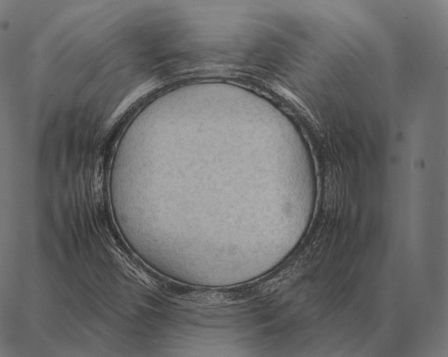 X0000087361450200705181139