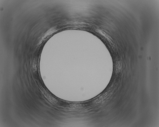 X0000087361451200705181139