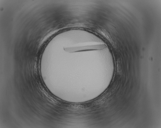 X0000087361452200705181139