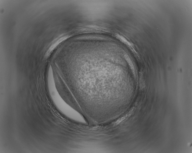 X0000087361453200705181139