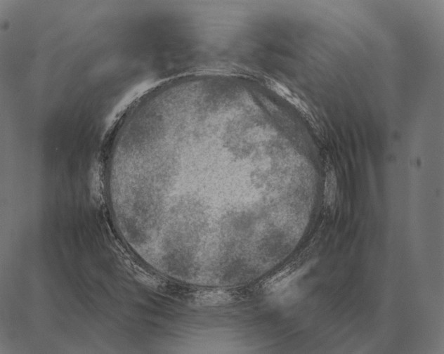 X0000087361454200705181139