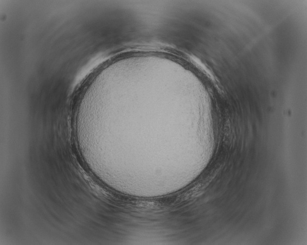 X0000087361456200705181139