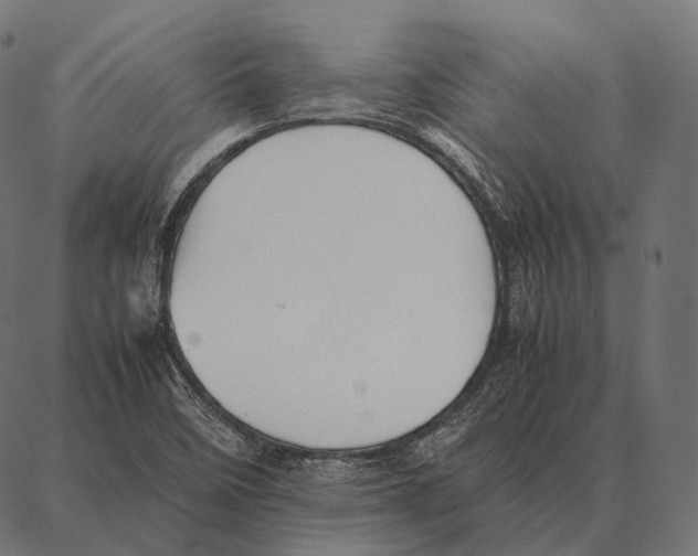 X0000087361458200705181139