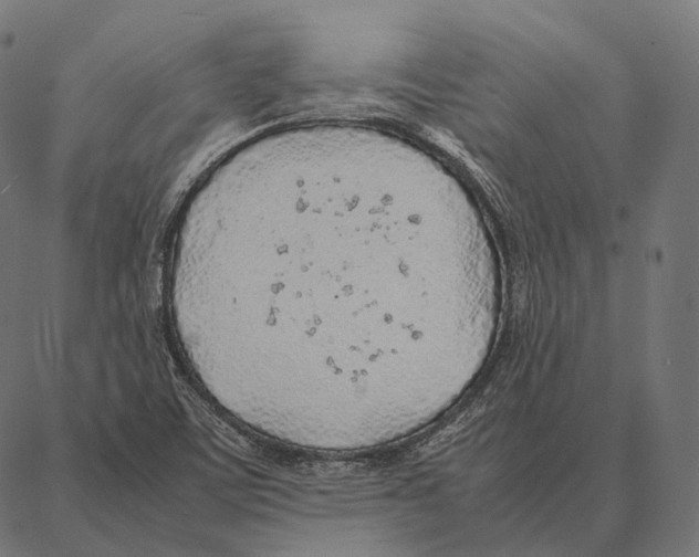 X0000087361459200705181139