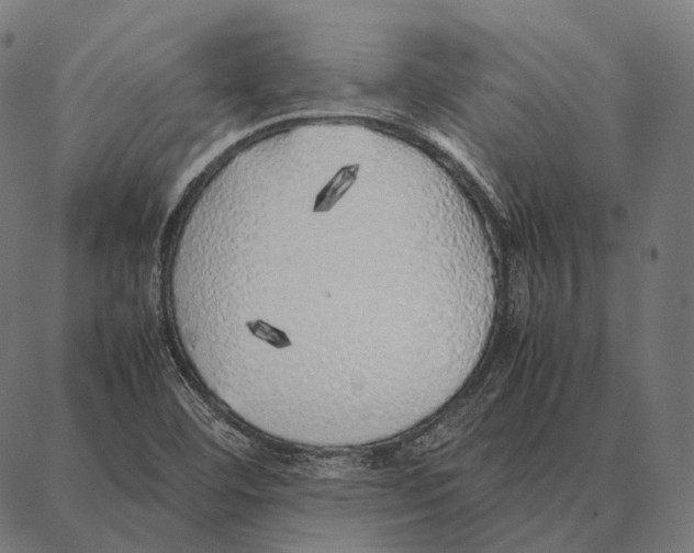 X0000087361460200705181139