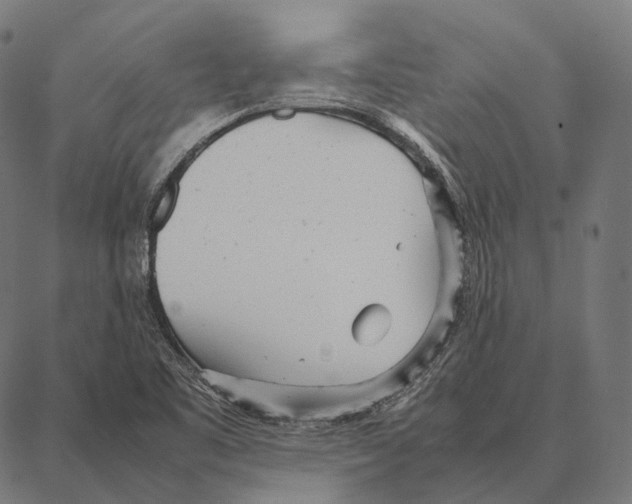 X0000087361461200705181139