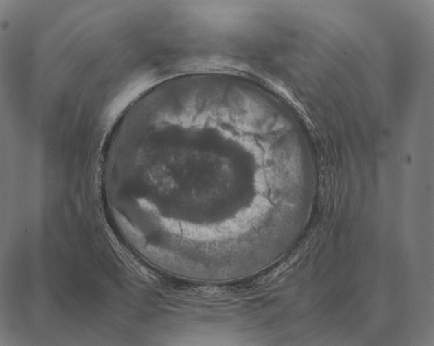 X0000087361463200705181139