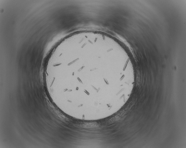 X0000087361464200705181139