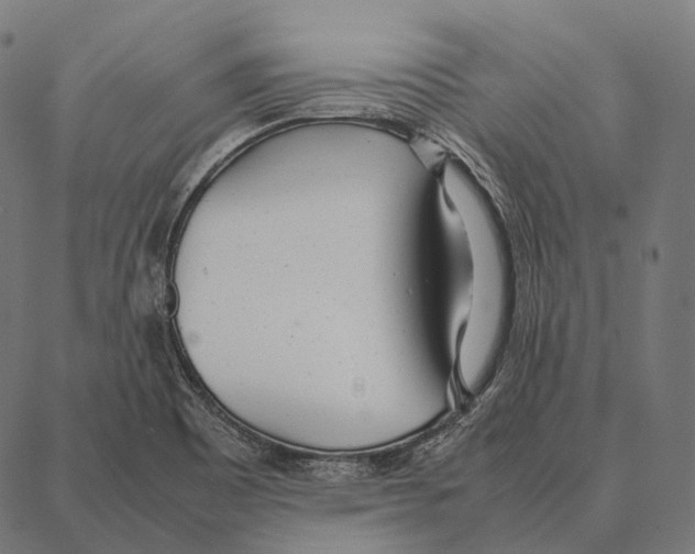 X0000087361465200705181139