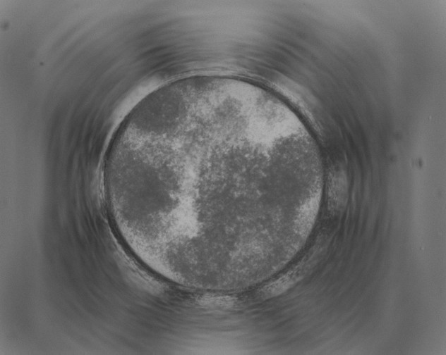 X0000087361466200705181139