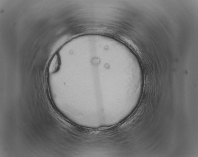 X0000087361467200705181139