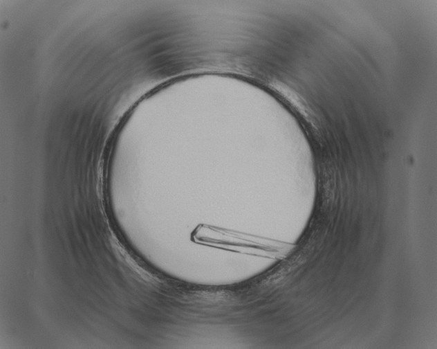 X0000087361468200705181139