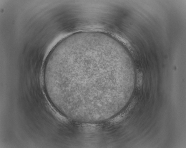 X0000087361470200705181139