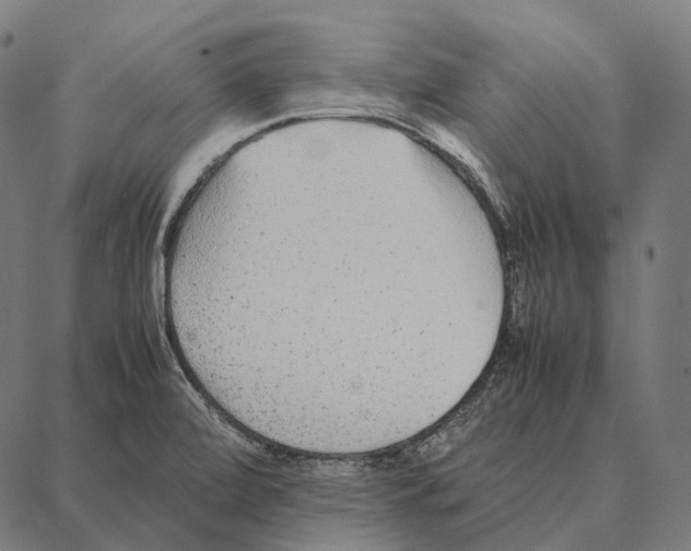 X0000087361472200705181139