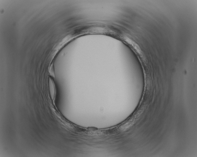 X0000087361473200705181139