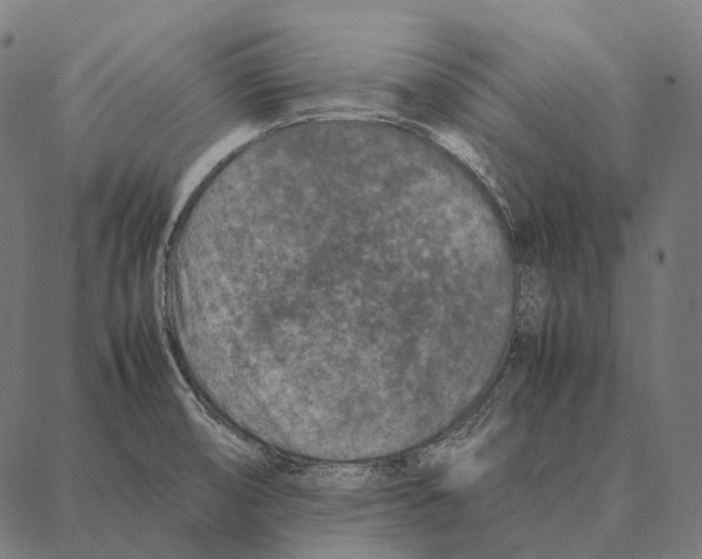 X0000087361474200705181139