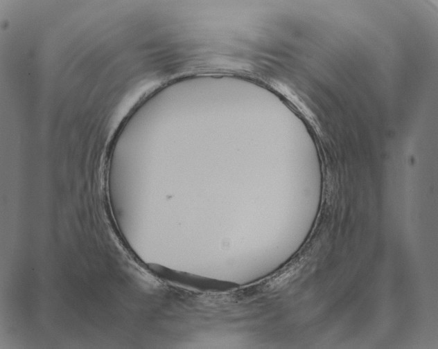 X0000087361477200705181139