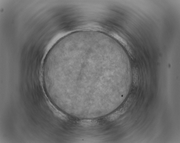 X0000087361478200705181139