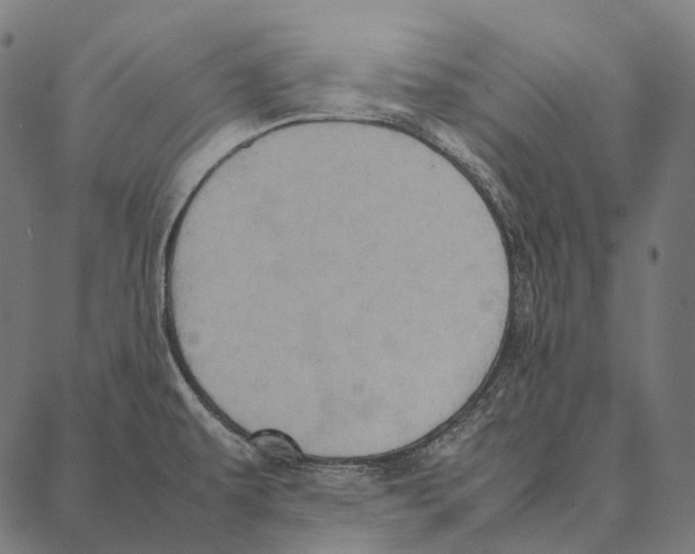 X0000087361479200705181139