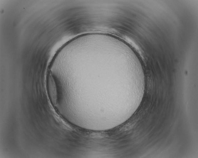 X0000087361480200705181139