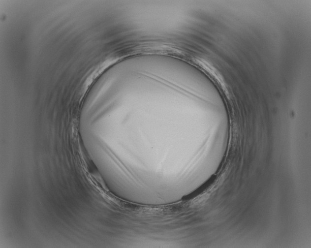 X0000087361481200705181139