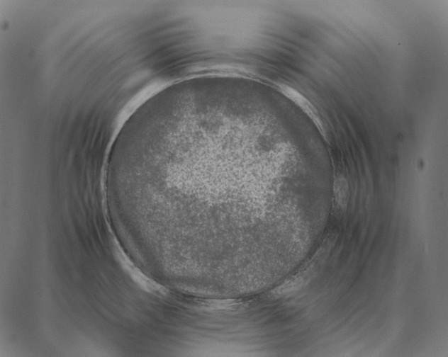 X0000087361482200705181139