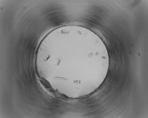 X0000087361484200705181139