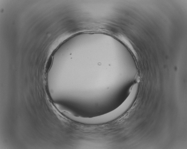 X0000087361485200705181139