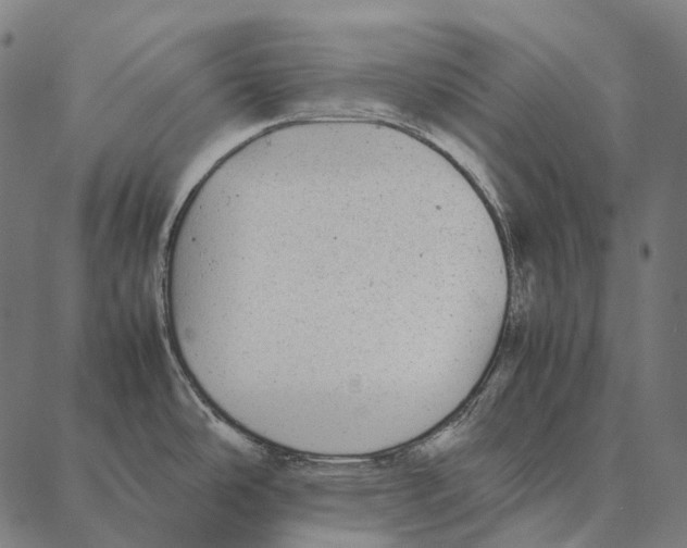 X0000087361486200705181139